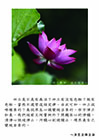四土是不是有為法？四土有沒有色相？