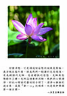 所謂浮想，可見得這個妄想的現象是最粗，是浮現在最外層