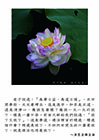 為學日益，為道日損。