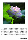 真念佛，念阿彌陀佛原來就是念心
