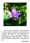 真實功德是清淨心，清淨心裡面所生的智慧就叫做般若智慧，這是真實的功德。