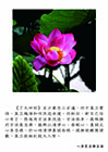 《了凡四訓》至少要念三百遍，你才真正覺悟，真正曉得如何改造命運。