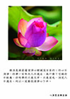 佛法是佛菩薩清淨心裡頭流出來的