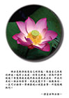 佛法是教你恢復自己的本能，恢復自己本有的神通。