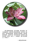待人接物用真誠，決不欺騙，決不虛假。