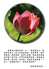 處事待人接物但用一心，一個真誠之心，我就用這個心。