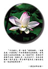 「十大願王」第一個是「禮敬諸佛」，內要真誠，外要恭敬。