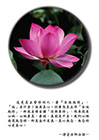 這是真正會修的人，要『全性起修』，「性」是什麼？性是真心。