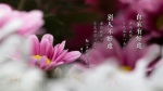 自家有好處 ...