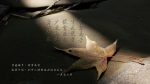 多欲為苦 生死疲勞 從貪欲起 少欲無為 身心自在
