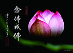 念佛成佛