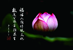 福佑人類傳統文化 救度全球苦難眾生