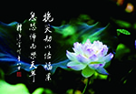 挽災劫以培福果 息恐怖而樂天年