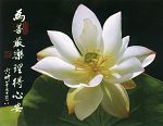為善最樂 理得心安
