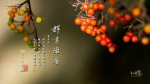 群書治要三六○ 桌布