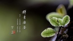 群書治要三六○ 桌布