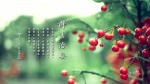 群書治要三六○ 桌布