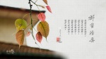 群書治要三六○ 桌布