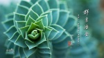 群書治要三六○ 桌布